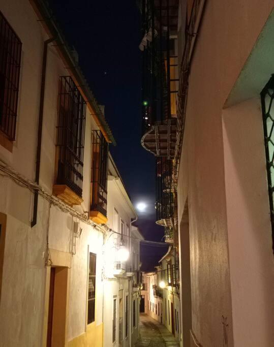 Апартаменты Precioso Loft En El Centro De Cordoba. Экстерьер фото