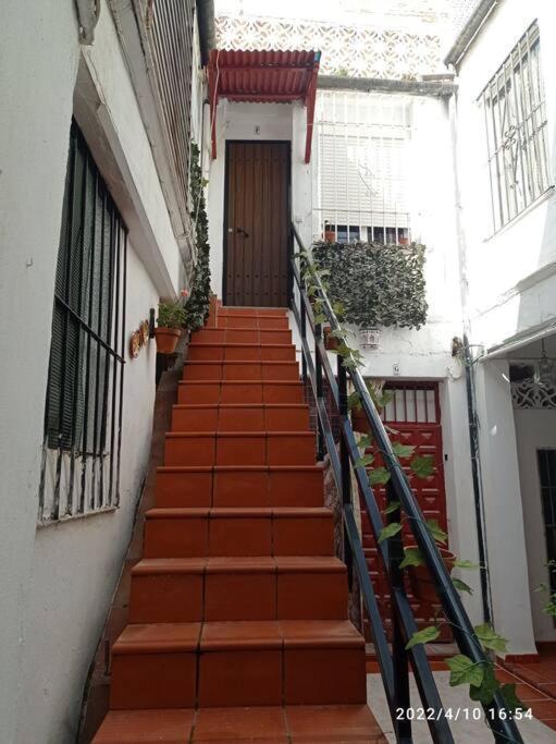 Апартаменты Precioso Loft En El Centro De Cordoba. Экстерьер фото